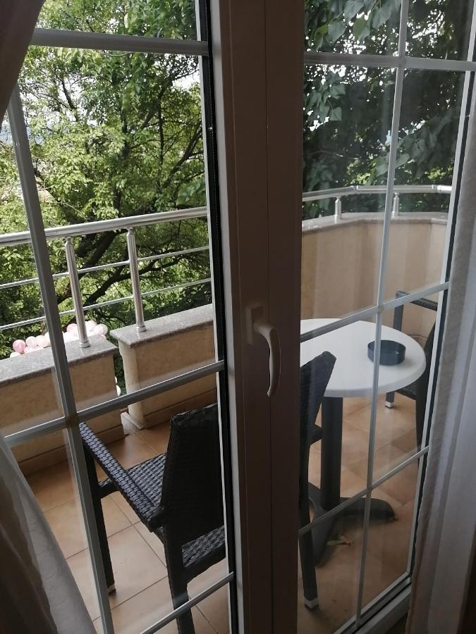 B&B Vila Vidikovac Аранджеловац Екстер'єр фото