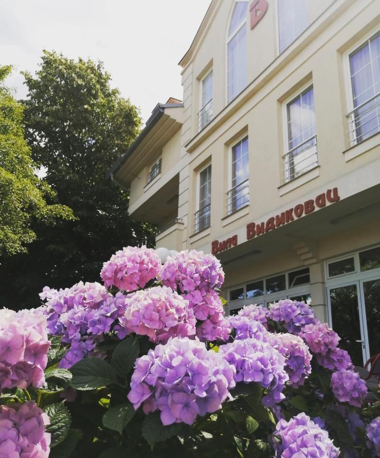 B&B Vila Vidikovac Аранджеловац Екстер'єр фото