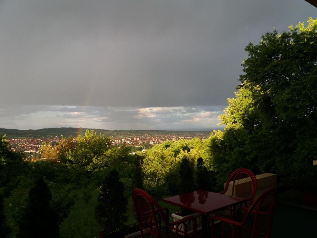 B&B Vila Vidikovac Аранджеловац Екстер'єр фото