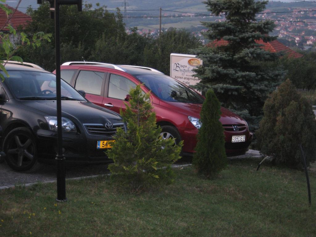 B&B Vila Vidikovac Аранджеловац Екстер'єр фото