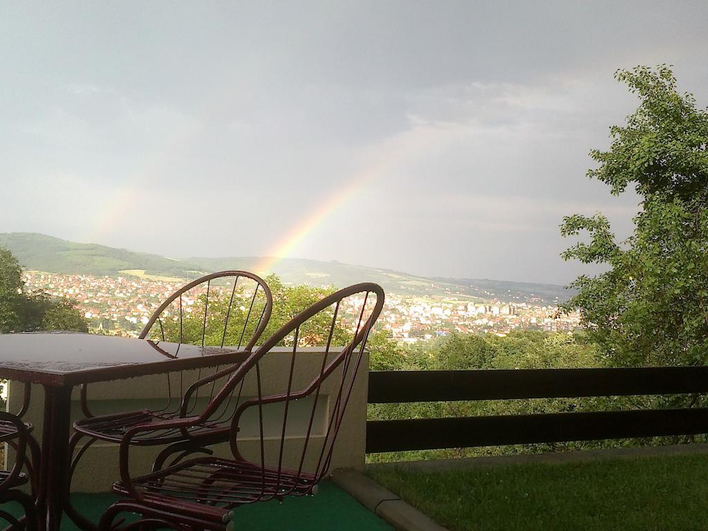 B&B Vila Vidikovac Аранджеловац Екстер'єр фото
