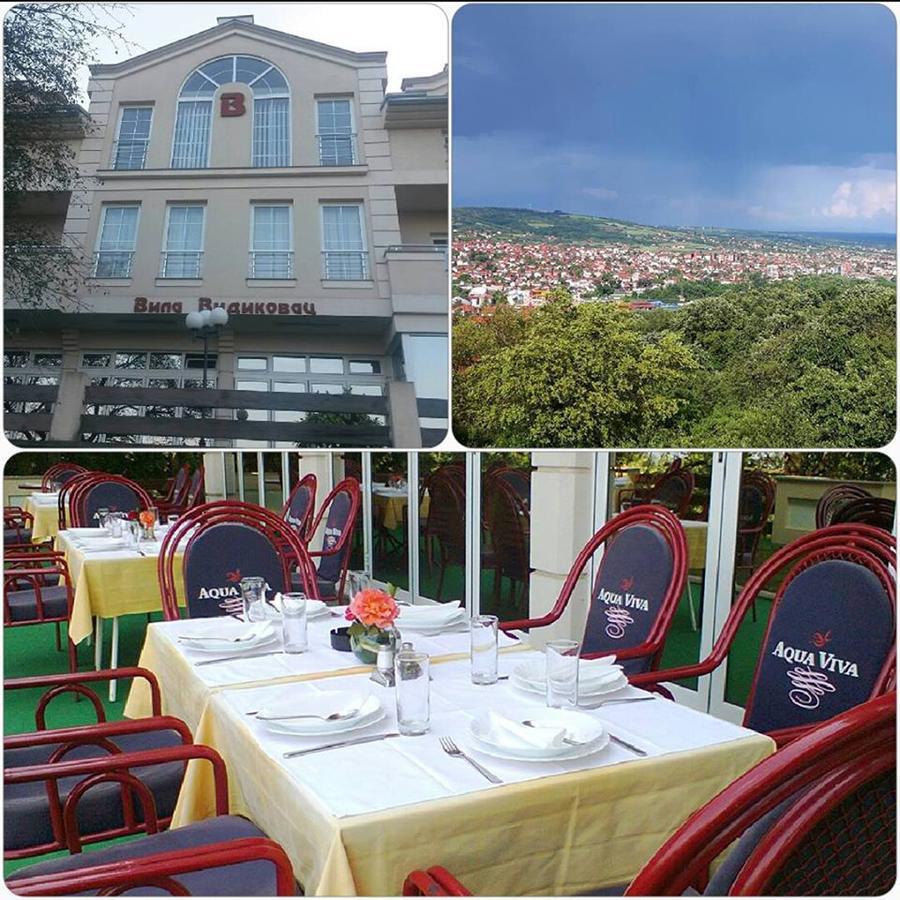 B&B Vila Vidikovac Аранджеловац Екстер'єр фото